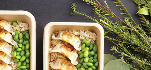 Lunch/Food Services
